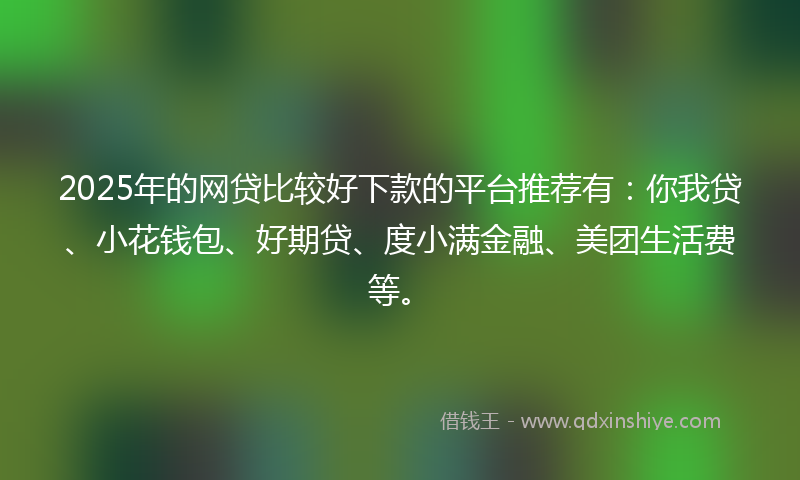 2025年的网贷比较好下款的平台推荐有：你我贷、小花钱包、好期贷、度小满金融、美团生活费等。