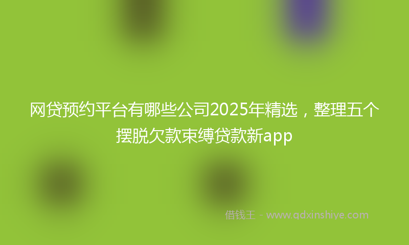 网贷预约平台有哪些公司2025年精选，整理五个摆脱欠款束缚贷款新app
