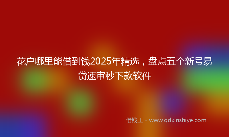 花户哪里能借到钱2025年精选，盘点五个新号易贷速审秒下款软件