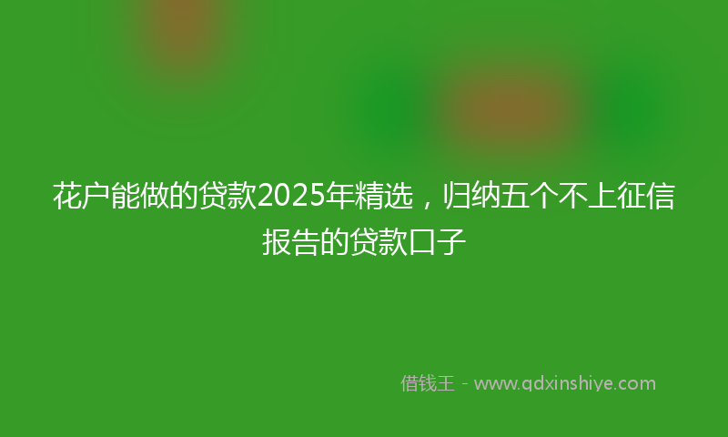 花户能做的贷款2025年精选，归纳五个不上征信报告的贷款口子