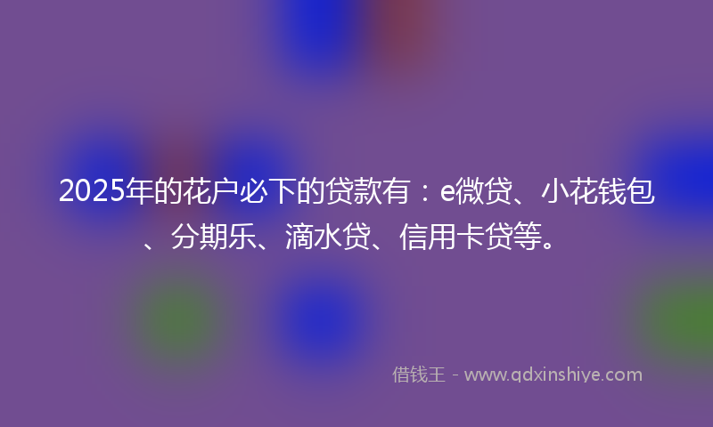 2025年的花户必下的贷款有：e微贷、小花钱包、分期乐、滴水贷、信用卡贷等。