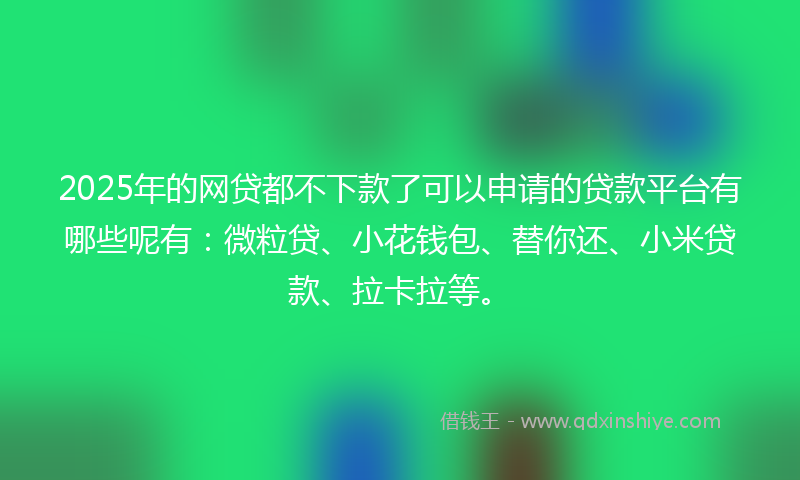 2025年的网贷都不下款了可以申请的贷款平台有哪些呢有：微粒贷、小花钱包、替你还、小米贷款、拉卡拉等。