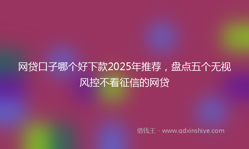 网贷口子哪个好下款2025年推荐，盘点五个无视风控不看征信的网贷