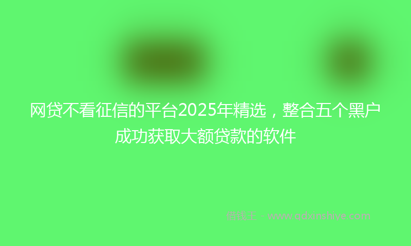 网贷不看征信的平台2025年精选，整合五个黑户成功获取大额贷款的软件