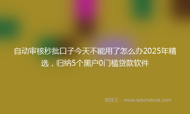 自动审核秒批口子今天不能用了怎么办2025年精选，归纳5个黑户0门槛贷款软件