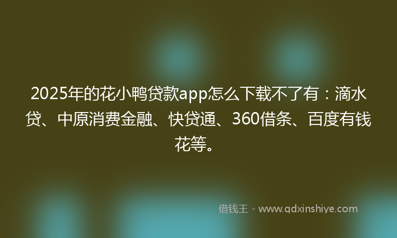 2025年的花小鸭贷款app怎么下载不了有：滴水贷、中原消费金融、快贷通、360借条、百度有钱花等。