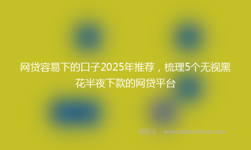网贷容易下的口子2025年推荐，梳理5个无视黑花半夜下款的网贷平台