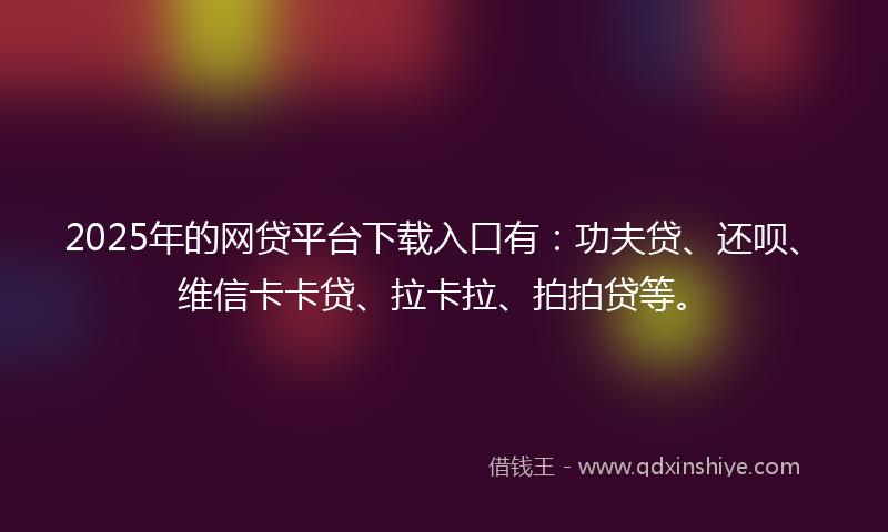 2025年的网贷平台下载入口有：功夫贷、还呗、维信卡卡贷、拉卡拉、拍拍贷等。