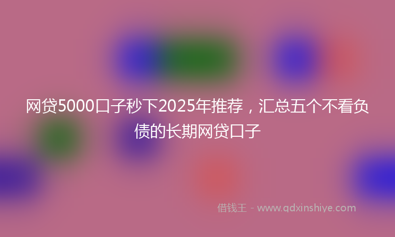 网贷5000口子秒下2025年推荐，汇总五个不看负债的长期网贷口子
