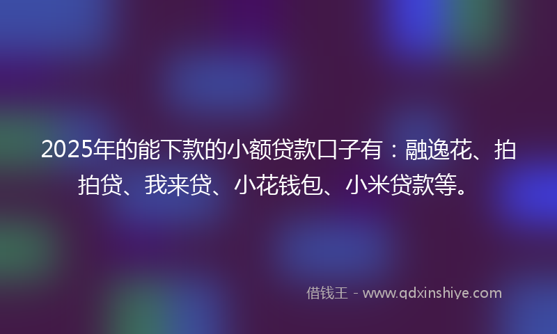 2025年的能下款的小额贷款口子有：融逸花、拍拍贷、我来贷、小花钱包、小米贷款等。