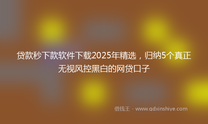 贷款秒下款软件下载2025年精选，归纳5个真正无视风控黑白的网贷口子