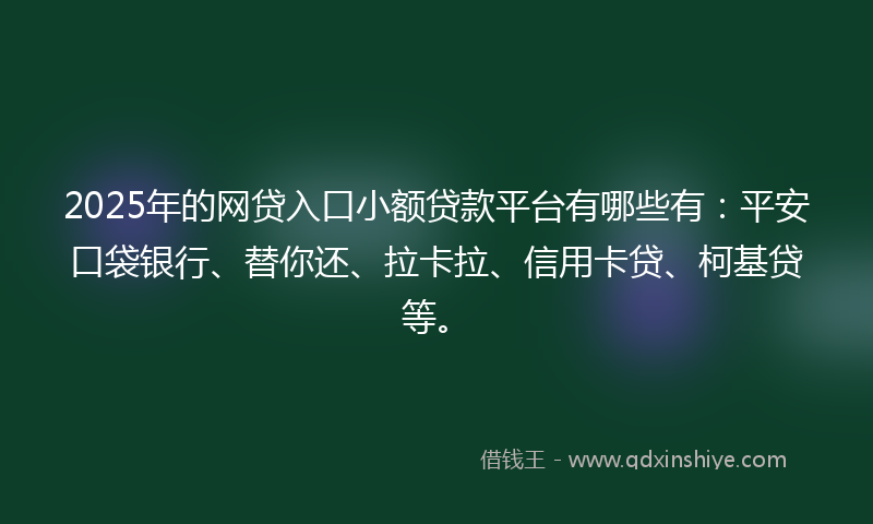 2025年的网贷入口小额贷款平台有哪些有：平安口袋银行、替你还、拉卡拉、信用卡贷、柯基贷等。