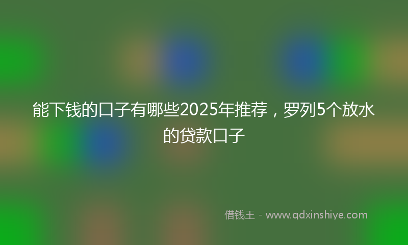 能下钱的口子有哪些2025年推荐，罗列5个放水的贷款口子