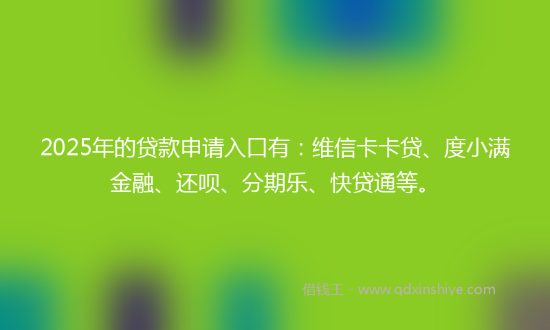 2025年的贷款申请入口有：维信卡卡贷、度小满金融、还呗、分期乐、快贷通等。