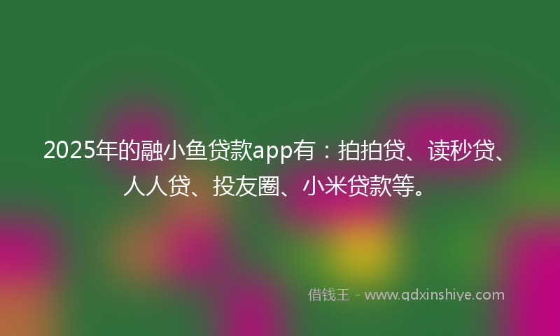 2025年的融小鱼贷款app有：拍拍贷、读秒贷、人人贷、投友圈、小米贷款等。