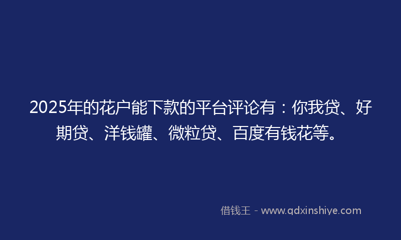 2025年的花户能下款的平台评论有：你我贷、好期贷、洋钱罐、微粒贷、百度有钱花等。