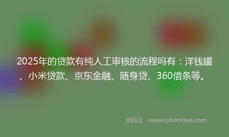 2025年的贷款有纯人工审核的流程吗有：洋钱罐、小米贷款、京东金融、随身贷、360借条等。