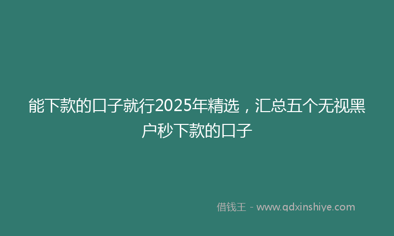 能下款的口子就行2025年精选，汇总五个无视黑户秒下款的口子
