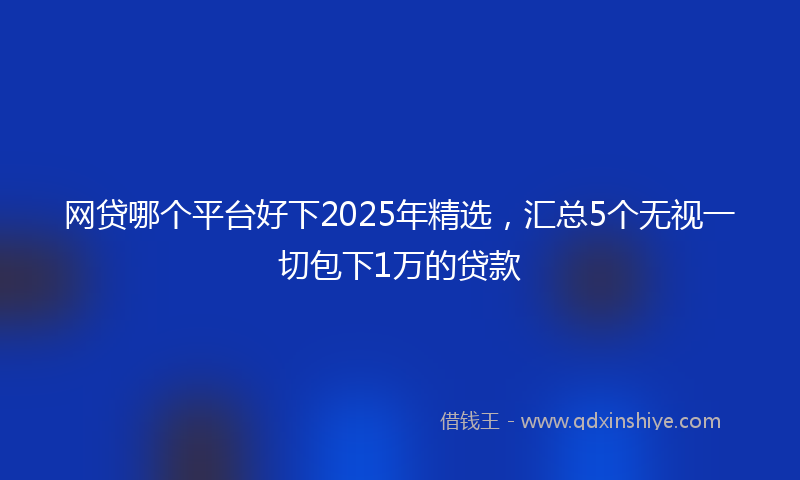 网贷哪个平台好下2025年精选，汇总5个无视一切包下1万的贷款