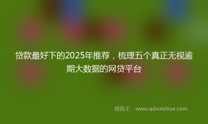贷款最好下的2025年推荐，梳理五个真正无视逾期大数据的网贷平台