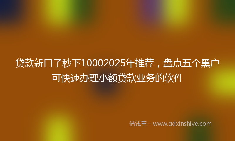 贷款新口子秒下10002025年推荐，盘点五个黑户可快速办理小额贷款业务的软件