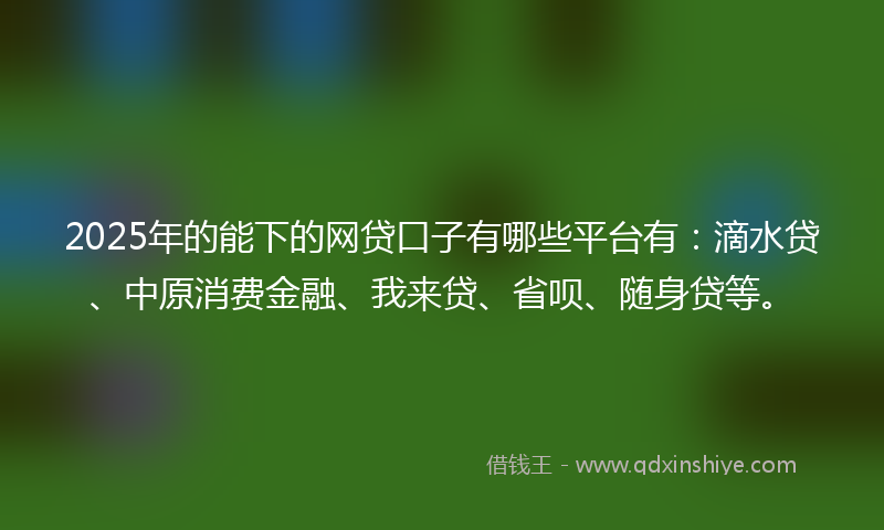 2025年的能下的网贷口子有哪些平台有：滴水贷、中原消费金融、我来贷、省呗、随身贷等。