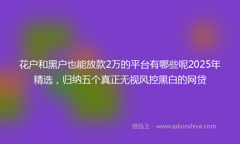 花户和黑户也能放款2万的平台有哪些呢2025年精选，归纳五个真正无视风控黑白的网贷