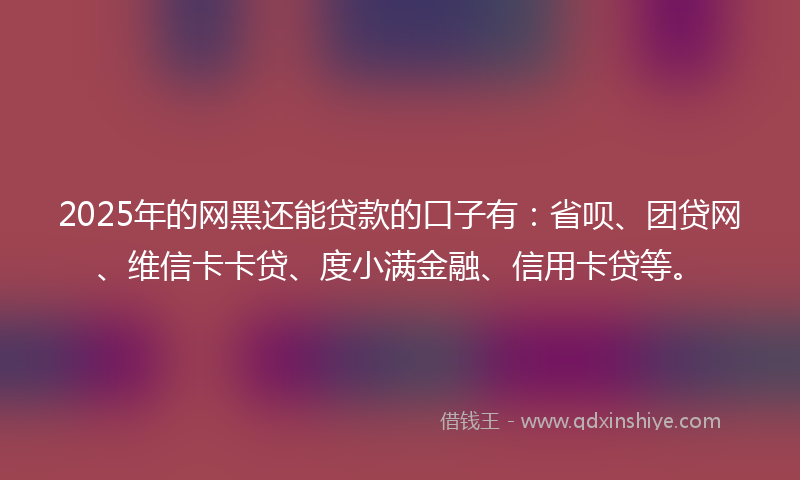 2025年的网黑还能贷款的口子有：省呗、团贷网、维信卡卡贷、度小满金融、信用卡贷等。