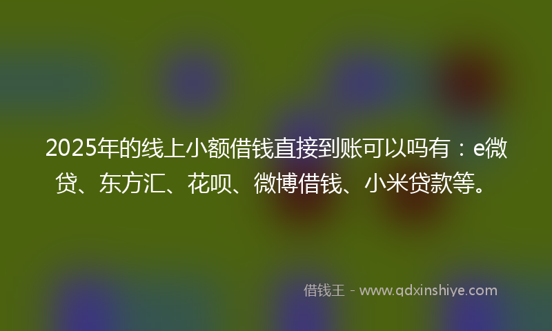 2025年的线上小额借钱直接到账可以吗有：e微贷、东方汇、花呗、微博借钱、小米贷款等。