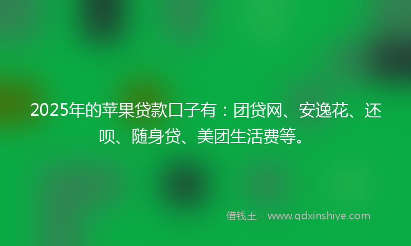 2025年的苹果贷款口子有：团贷网、安逸花、还呗、随身贷、美团生活费等。