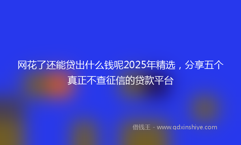网花了还能贷出什么钱呢2025年精选，分享五个真正不查征信的贷款平台