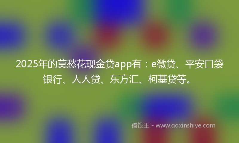 2025年的莫愁花现金贷app有：e微贷、平安口袋银行、人人贷、东方汇、柯基贷等。