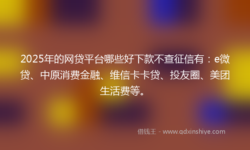 2025年的网贷平台哪些好下款不查征信有：e微贷、中原消费金融、维信卡卡贷、投友圈、美团生活费等。
