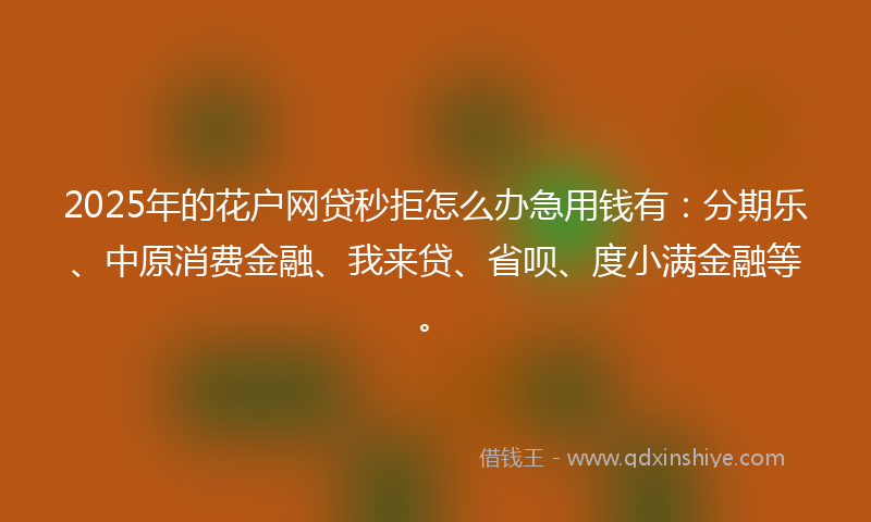 2025年的花户网贷秒拒怎么办急用钱有:分期乐、中原消费金融、我来贷、省呗、度小满金融等。