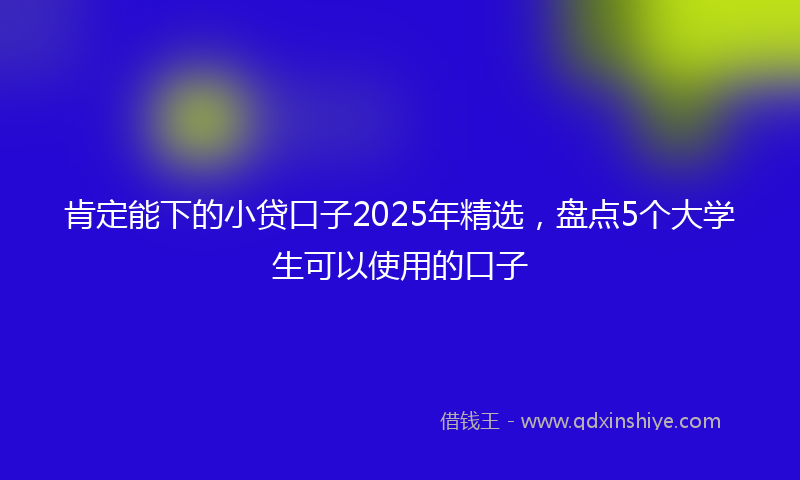 肯定能下的小贷口子2025年精选，盘点5个大学生可以使用的口子