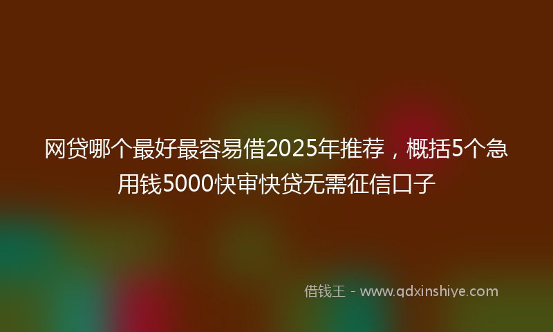 网贷哪个最好最容易借2025年推荐，概括5个急用钱5000快审快贷无需征信口子