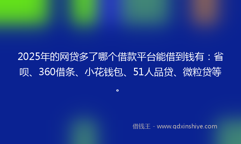2025年的网贷多了哪个借款平台能借到钱有：省呗、360借条、小花钱包、51人品贷、微粒贷等。