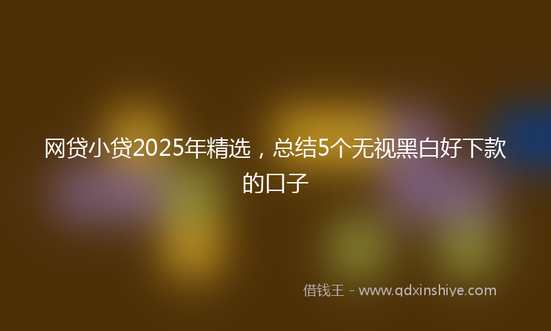 网贷小贷2025年精选，总结5个无视黑白好下款的口子