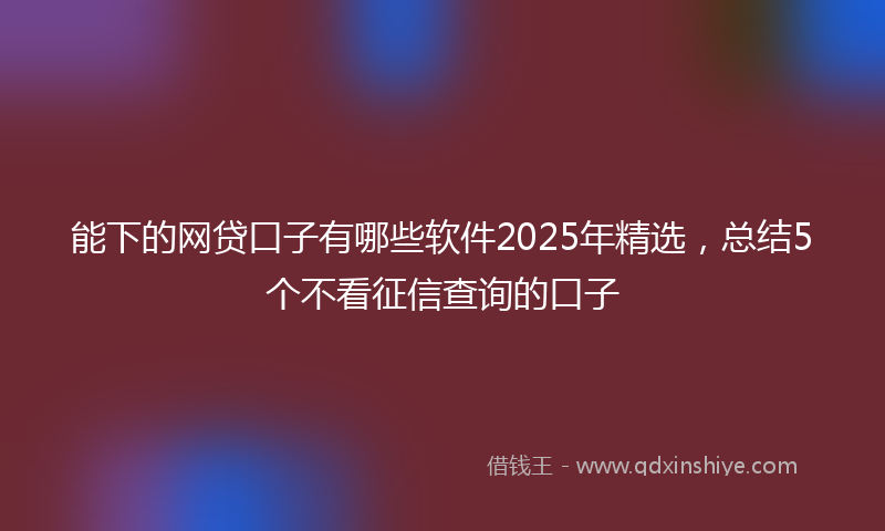 能下的网贷口子有哪些软件2025年精选，总结5个不看征信查询的口子