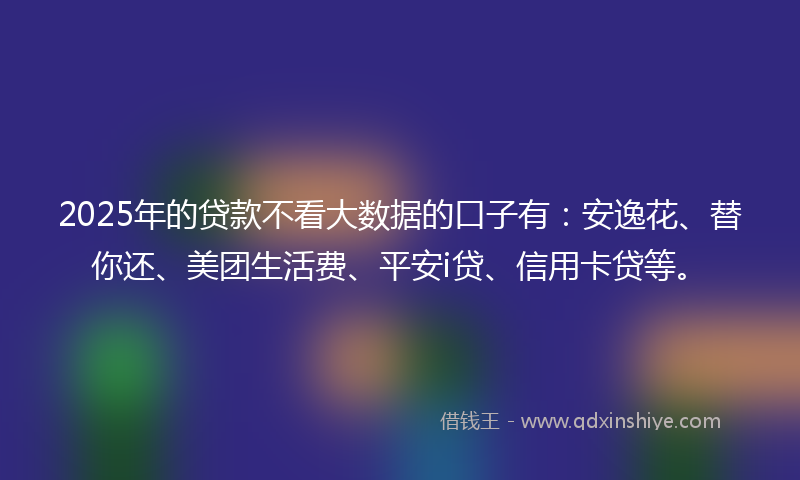 2025年的贷款不看大数据的口子有：安逸花、替你还、美团生活费、平安i贷、信用卡贷等。