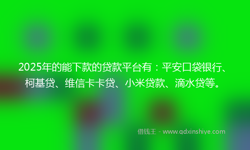 2025年的能下款的贷款平台有：平安口袋银行、柯基贷、维信卡卡贷、小米贷款、滴水贷等。