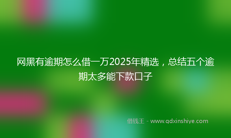 网黑有逾期怎么借一万2025年精选，总结五个逾期太多能下款口子