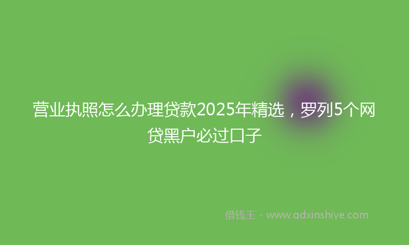 营业执照怎么办理贷款2025年精选，罗列5个网贷黑户必过口子
