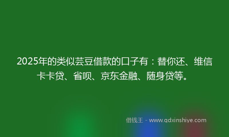 2025年的类似芸豆借款的口子有：替你还、维信卡卡贷、省呗、京东金融、随身贷等。