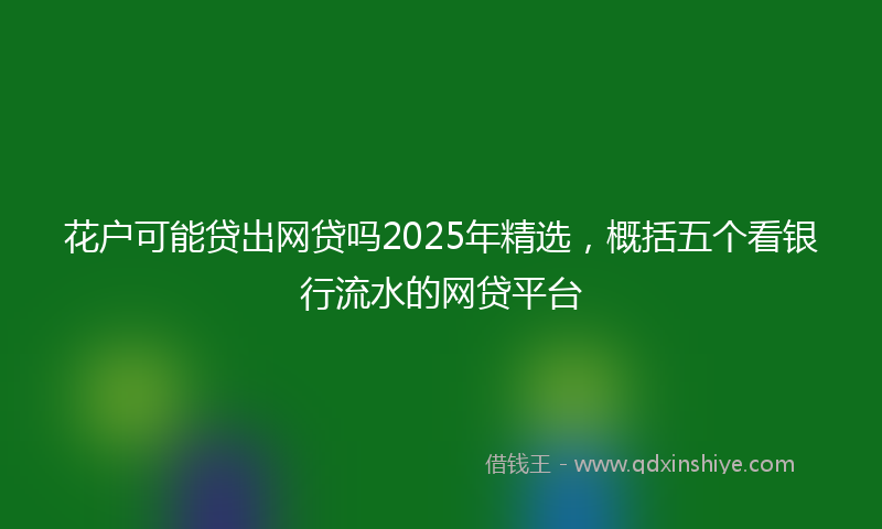 花户可能贷出网贷吗2025年精选，概括五个看银行流水的网贷平台