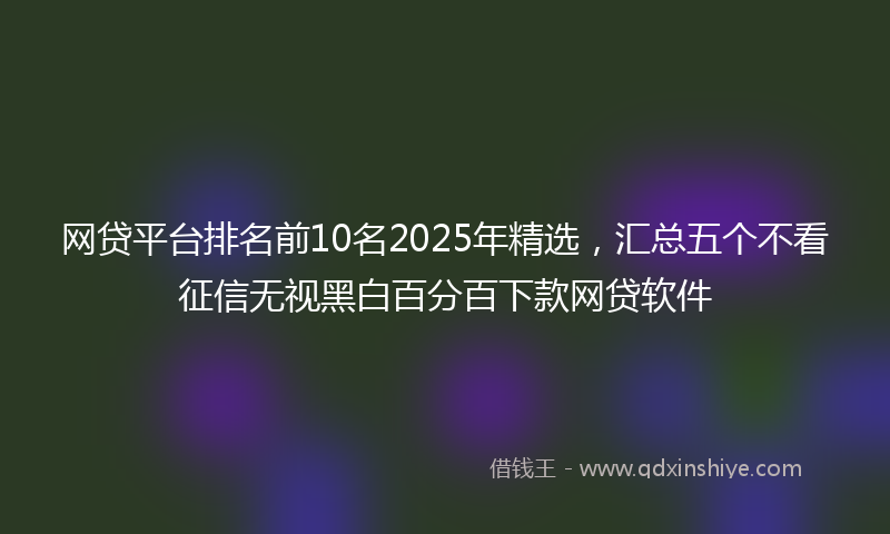 网贷平台排名前10名2025年精选，汇总五个不看征信无视黑白百分百下款网贷软件
