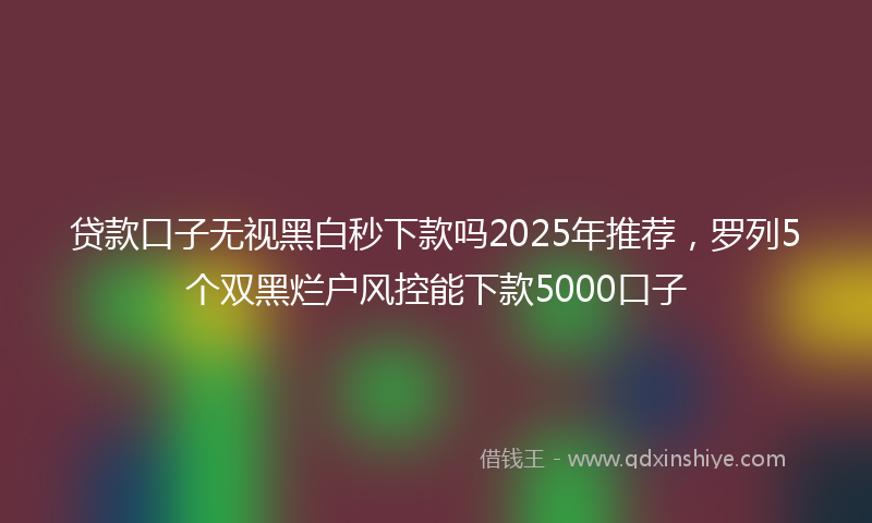 贷款口子无视黑白秒下款吗2025年推荐，罗列5个双黑烂户风控能下款5000口子