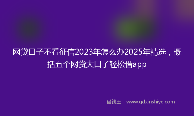网贷口子不看征信2023年怎么办2025年精选，概括五个网贷大口子轻松借app