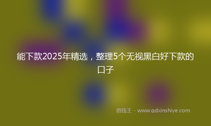 能下款2025年精选，整理5个无视黑白好下款的口子