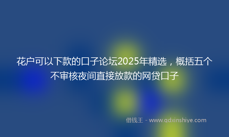 花户可以下款的口子论坛2025年精选，概括五个不审核夜间直接放款的网贷口子